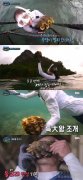 /uploads/allimg/190721/8-1ZH114393DM-lp.jpg