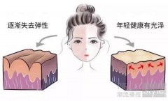 DHC辅酶Q10明星系列又添新成员 开启抗衰老