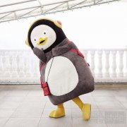 PENGSOO侵权产品不断增加 EBS表示