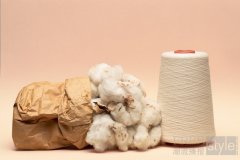 H&M集团成为更可持续棉及人