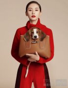 Longchamp「珑骧」Roseau 系列化身