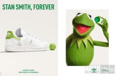 经典的的Stan Smith adidas Origina