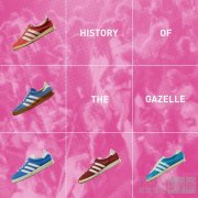  Gazelle之路：从田径运动鞋到力