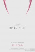 BLACKPINK将于9月16日回归 8月19日