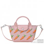 玉兔迎春 LONGCHAMP「珑骧」202