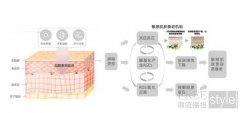 敏感肌如何抗老？内外兼修才