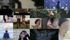 Joyce Beauty载思美智My Beauty Cur