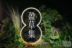 【盈草之境】盈草集AGROW品牌静态艺术展