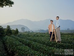 自如启春，漫游无垠梦境 ——