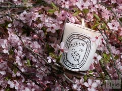 DIPTYQUE樱花香氛蜡烛，春日限时