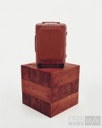 跃启色彩美学新章  RIMOWA（日默