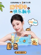 Colorkey珂拉琪「橘子水豚」，上线70天，销量破亿
