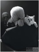 在优雅与反叛之间：KARL LAGERFELD发布全新IKONIK胶囊