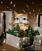 Diptyque发布冬日限量系列, 开启魔法书屋之