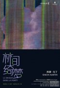法国艺术家西蒙·马丁中国首展 将于上海