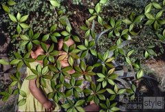 徕卡相机推出全新项目基金：首届LOBA女性