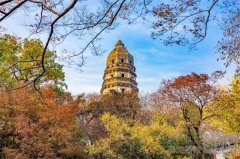 沪苏双城暖冬奇遇，解锁年末轻度假的浪