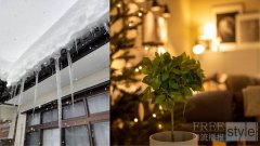 冬日里的暖意 花王“润”心相伴