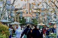 比斯特上海及比斯特苏州购物村2026年元旦