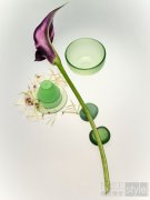 绿意新春,团圆瑰丽 用探索开启新一年