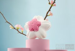 绽放樱花以唤醒春日浪漫 甜蜜芬芳气息弥