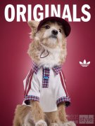 拓展多场景实用出行新体验 adidas Originals 推出新