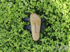 BIRKENSTOCK (勃肯) 推出“自然行走”全新企