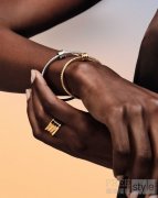 以匠心设计演绎多元表达 BVLGARI宝格丽臻