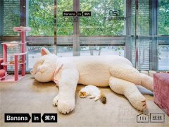 当体感科学遇见成都慢生活：蕉内「丝滑