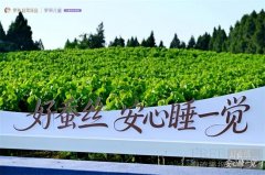 连续21年领跑的答案：罗莱 超柔床品携手