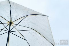 梅雨季｜湿气归湿气，气血感归自己